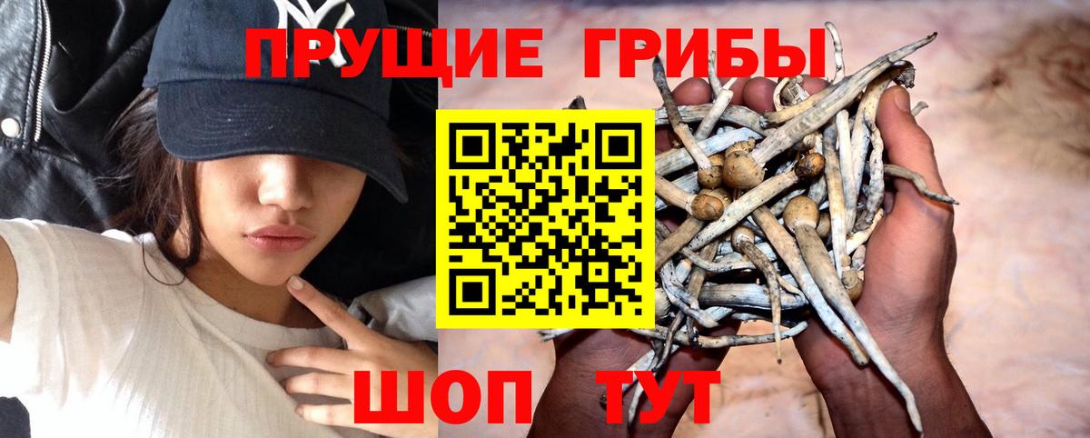 Галлюциногенные грибы Magic Shrooms Екатеринбург