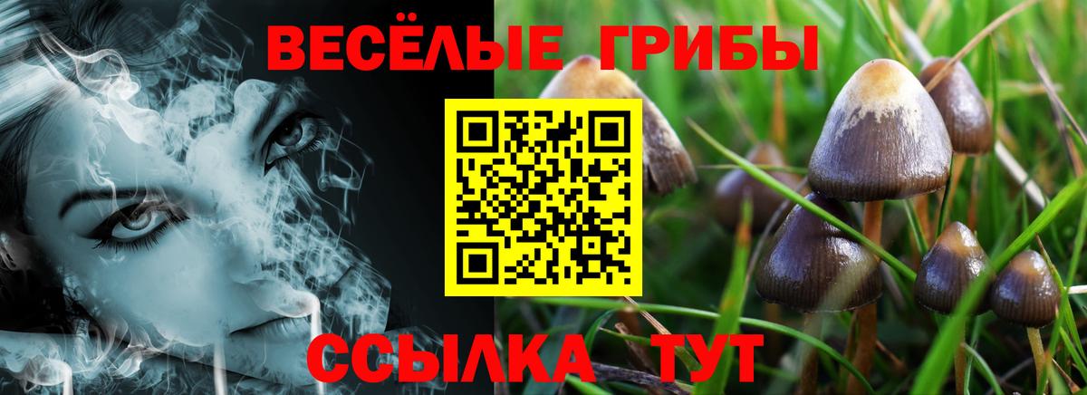 Псилоцибиновые грибы GOLDEN TEACHER  Псилоцибиновые грибы Psilocybe  где продают наркотики  Екатеринбург  Вход с VPN 